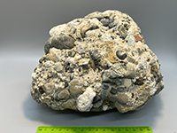 A multi-colored cobble of conglomerate that looks similar to concrete, but containts a mix of colored pebbles.
